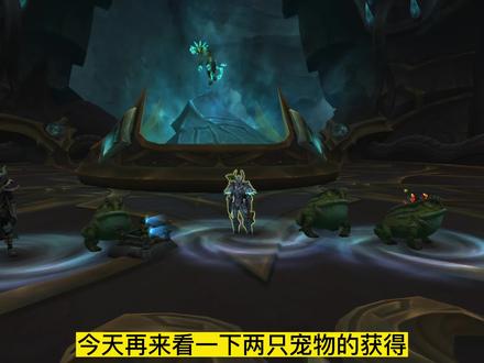 《WOW魔兽世界》赞达拉宠物,蟾蜍,索洛塔尔之子。 #游戏精彩时刻 #我们比你们多一个世界 #经典游戏