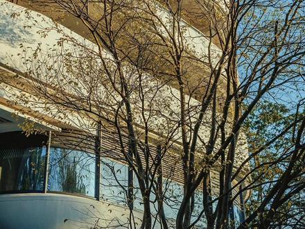 索尼ZV-E10,听劝!一定要学会用M档
#摄影小白#入门级相机 #索尼微单#索尼zve10