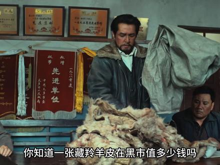 生命树多杰人物原型 #生命树 #胡歌 #多杰 #索南达杰