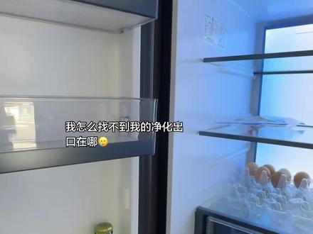 你们撕的膜都在哪啊?我找好几天了怎么没有啊#冰箱 #冰箱除味 #冰箱撕膜 #日常分享