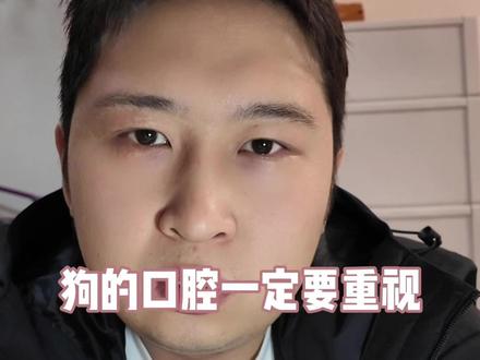 狗狗的口腔 千万不要忽视了。有可能出大问题#养狗经验 #狗牙 #宠物口腔健康