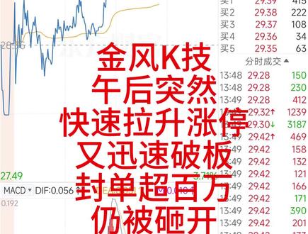 金风午后突然快速拉升涨停 又迅速破板 #金风科技 #股民 #财经 #实盘记录 #韭菜