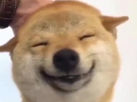 自己养的小火人才香#多闪app #小火人AI聊天 #多闪