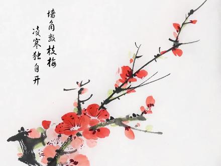 国画梅花小教程,有没有喜欢的#国画 #传统文化 #画画