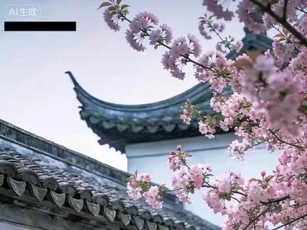 真·三国·陆无双 #陆无双 #达尔巴 #真三国无双