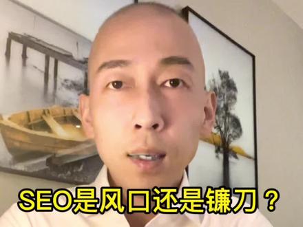 SEO到底是风口?还是镰刀?视频较长,一定看到最后。#干货分享 #seo #说真话
