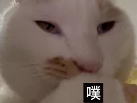 谁想亲俺滴嘴?使用原声翻拍请标注
#翻唱 #抽象 #搞笑 #wait #山东方言 (yc@小镇男孩滴滴哒 )