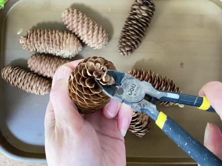 《绽春》教程分享~尺寸A4 #松果装饰画#教程分享#松果手工制作