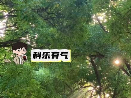 2026将迎来上半年最短学期 #学生 #万万没想到 #放假 #冷知识 #上学