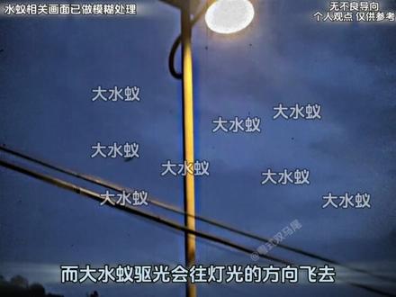 应对南方大水蚁的三大方法 #广东 #广东大水蚁 #大水蚁 #知识分享