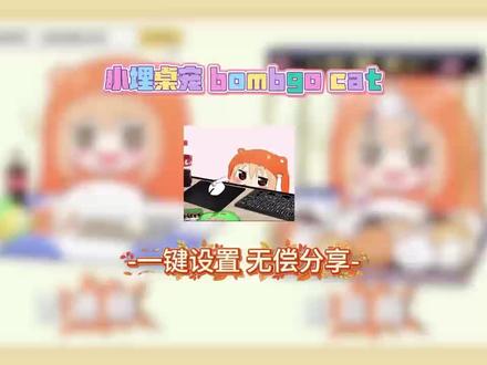 《小贺宝藏》全网爆火的小埋桌宠Bongocat设置教程来了#小埋桌宠#小埋桌宠安装教程#桌宠电脑版#桌宠怎么弄