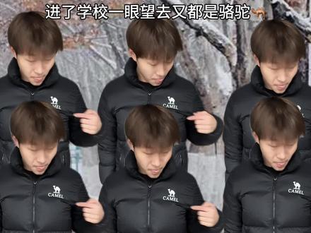 学校限定NPC#内容过于真实 #北面 #骆驼