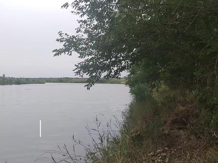 入梅首日,无惧风雨,三十公里奔袭清流河,目标似刺鳊鮈,收货虽未达预期,渔乐无限。#户外钓鱼 #钓鱼是抖音第一休闲运动 #似刺鳊鮈