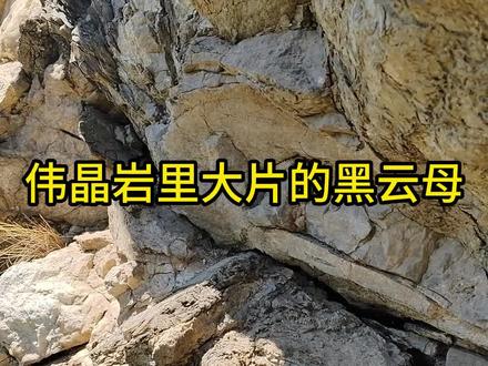 伟晶岩里的黑云母#科普 #地质 #矿物晶体 #石头 #云母