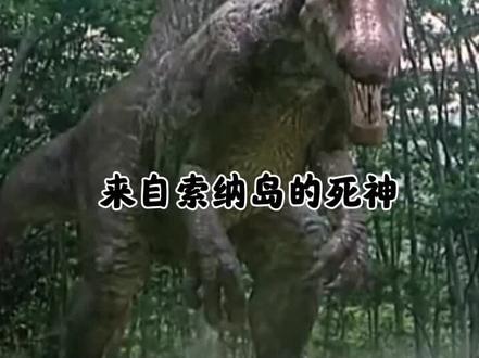 第一集:战神棘龙的介绍