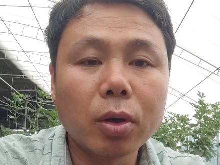 分辨黄瓜是不是用了激素类药物的最简单粗暴的方法#三农 #抖音新农人 #我的乡村生活 #农村 #瓜果蔬菜
