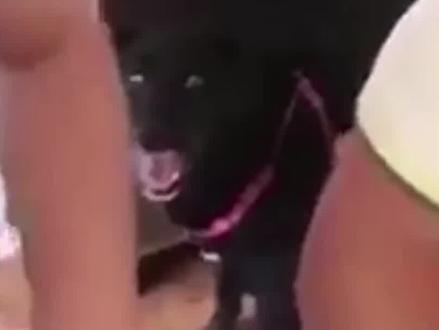 国外主播嘴臭针对,中国玩家直接开启猎杀模式...#电子竞技#作死老外 #中国玩家 #解气名场面