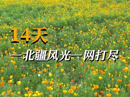 伊犁最让人纠结的两个5A级草原:喀拉峻和那拉提 到底该去哪一个?#新疆 #伊犁 #那拉提 #喀拉峻 #新疆旅游攻略