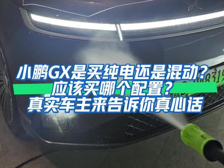 小鹏GX是买纯电还是混动?
该买什么配置?哪些配置是必须的?
真实真主用车后的心理反馈告诉你。
#电车车主真实感受