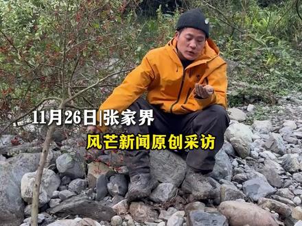 11月26日|张家界 天菩萨!拐球了!刀疤哥决赛躺平了:先摆烂十天!火也不想生 啥也不想做 这个场地是个“吃草”的场地#荒野求生