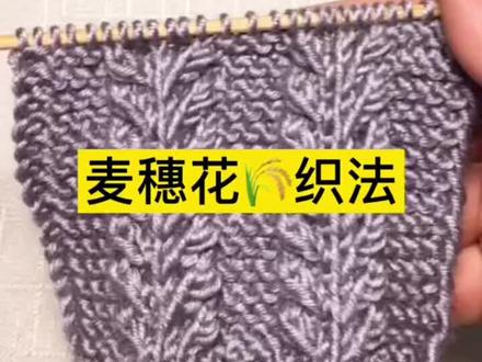 麦穗花织法,棒针编织经典花样~#爱生活爱编织 #我们一起织毛衣