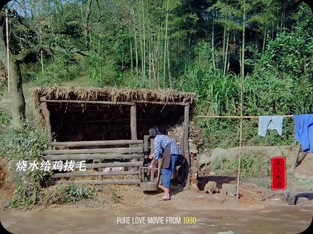 80年代的经典电影,寡妇冲破世俗追求幸福#老电影 #经典电影