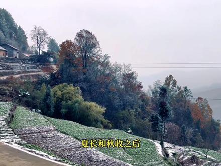 十二月,犹如三千繁华散尽,知足常乐。
“山回路转不见君,雪上空留马行处。”
茫茫人海,我见你时,你就在那里。我不见你时,雪地里留了下你来过的痕迹。
自是人生萧瑟处,也无风雨也无晴。来过,就是最好的相遇。
十二月,在一季的冬里,迎来大寒之日。暮色渐深,万物休憩。天地一片肃穆茫然之景。
:“寒色孤村幕,悲风四野闻。”
晨曦隐去,寒光落下。冬风的悲叹之声,徘徊在村庄外,不断回旋。四下林野也任那东风呼啸,声音久久不去。
一季之冬,就要落幕。
这仲冬时节的人们,大约理解冬风的不甘。所以,冬日的户门,总是早早的上锁。围炉夜话,静听冬风紧。
人间四季,经过了春耕、夏长和秋收之后,迎来了冬藏。冬藏是收敛,亦是自省。
雪落在屋檐上,逢水化冰,依着瓦口流成长长短短的冰条,晶莹剔透间,泛出一种冬日的恣意来,如同蓬莱仙阁,意境闲暇。
如同人生到了亭台轩榭处,登高望远,志趣非常。
冬藏,看似不作为,然则大有为。人生的冬藏,不是静止沉默,而是积粮蓄气,整装待发。
天生我才必有用,冬风任性刮南北。刮起风沙,刮起大雪,也刮起了人生的大船。孤傲不羁又潇洒至极。
梅花雪水,春暖花开的前奏,已经拨响了琴弦。
我在你轻敲子夜的时刻,坐拥红泥小火炉,畅想天晚已大雪,将进酒,能饮一杯无?#2022年的第一场雪 #你的城市下雪了吗 #2022年初雪 #我的家乡下雪啦 #文艺青年