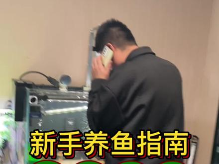 新手养鱼指南鱼缸气泡 #新手养鱼 #鱼缸气泡多怎么处理