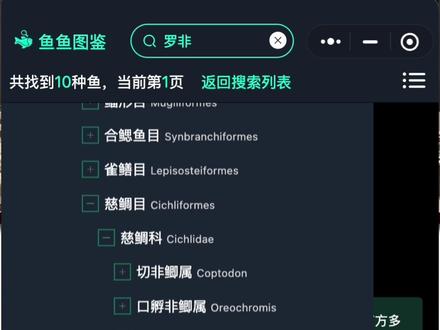 一图鉴定20种罗非、慈鲷鱼!保姆级干货分享! #神奇动物在抖音 #动物科普 #鱼类知识 #罗非鱼 #慈鲷