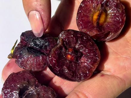 一条视频教大家辨别买到的车厘子是否变质变味,你买的车厘子属于哪个阶段?#车厘子 #知识科普 #实话实说