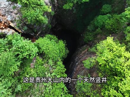 深渊竖井,会发出奇怪响声。 人类对贵州的探索还不足1%。
#探索 #深渊 #竖井 #奇闻轶事
专业安全拍摄,请勿模仿。