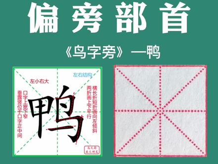 偏旁部首《鸟字旁》例字讲解—鸭#练字 #规范字书写 #教育 #原创 #写字是一种生活