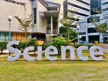 荧光斑马鱼,一种科学技术的漂亮观赏鱼,小朋友的最爱#热带鱼 #水族 #养鱼 #斑马鱼 #观赏鱼