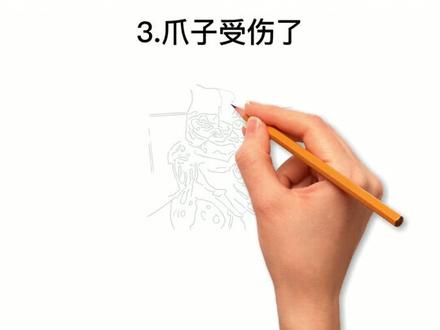 猫咪用爪子扒拉你是什么意思?#养猫小百科 #猫咪 #科普知识