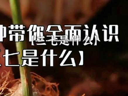 #文山三七 #抖音科普 三七是什么?@文山三七姑娘@非常文山#我为家乡特产代言