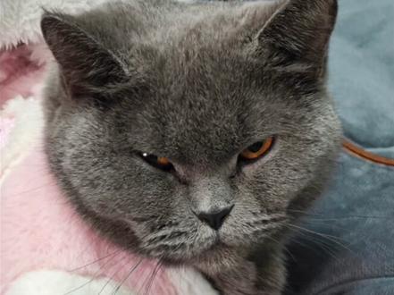 日常卡纸处理#打印机维修#佳能打印机#卡纸#维修工 #打印机维修 #复印机维修 #复印机 #打印机 #打印机推荐 #办公设备