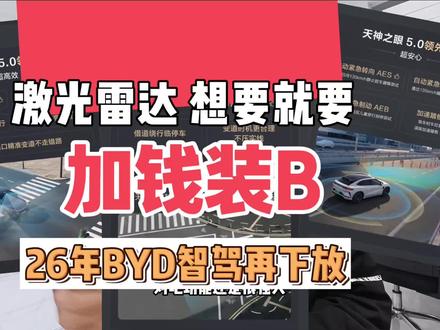 加钱装B,城区智驾领航干到10万以内#沈阳老谭 #沈阳比亚迪 #天神之眼B #天神之眼5