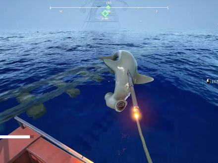 海洋抓鱼 下次去找鱼老大抓它#游戏