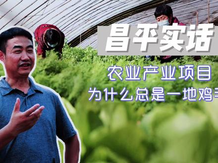 昌平实话:农业产业项目为什么总是一地鸡毛?#农业 #乡村振兴 #精准扶贫 #农产品滞销 #农村金融