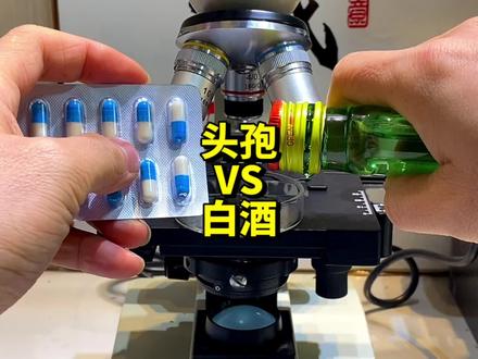 头孢配酒到底有多可怕?#显微镜下的世界 #头孢 #科普一下