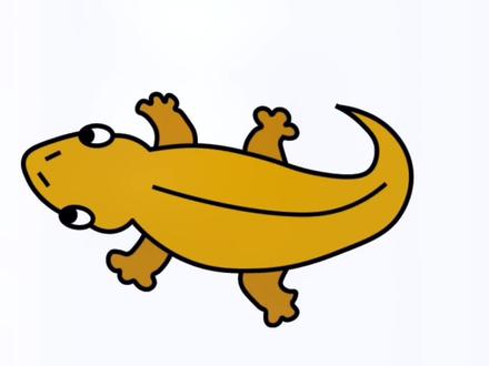 壁虎简笔画教程#简笔画 #儿童简笔画 #一学就会的简笔画 #简笔画教程 #幼儿简笔画 #࿆࿆一起学画画