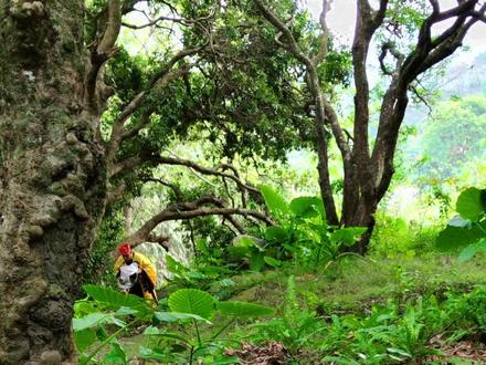 我丢你个法海,吓我一跳#搞笑#看一遍笑一遍 #万没想到#抽象 #意想不到的结局