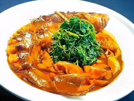 #创作灵感 红烧鮰鱼做法!春笋焖鮰鱼!鲜嫩肥美,金花菜蘸鱼汤特别鲜美!#美食教程 #春天的味道 #上热门 @DOU+小助手