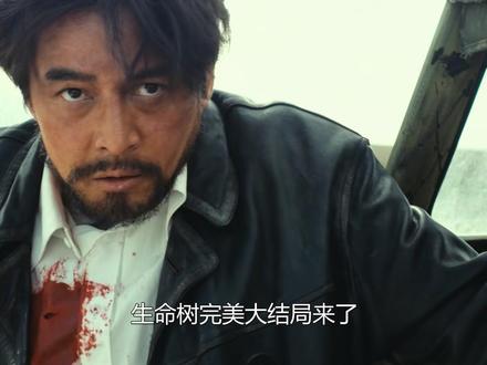 生命树完美结局:白菊亲手抓捕幕后凶手,和邵云飞复婚 巡山小队全部被正式分配工作#生命树 #多杰 #杨紫 #胡歌 #一看生命树停不下来