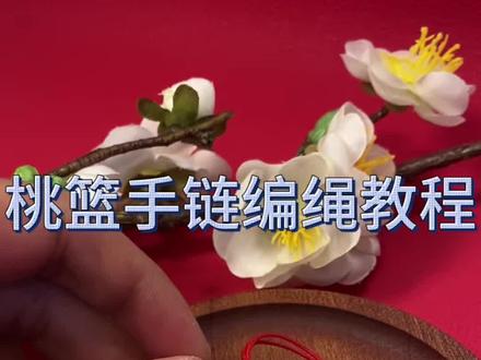桃篮手链编绳教程#编绳教程#蛇结