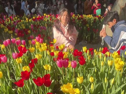 美丽的花城,广州沙面岛人山人海😎