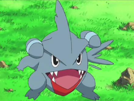 这个小鲨鱼竟然是准神 #宝可梦 #口袋 #二次元 #动画