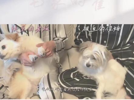 翟翟板板互夸,看来是一对眼光都很好的小情侣。#宅家的翟 #翟的宅搭子 #翟板 #双男主 #直播切片分享