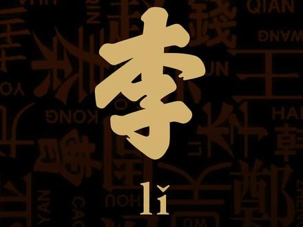 【 001 】李姓先天特点分析(抛砖引玉,仅供学术交流)
#易学智慧 #中华文化 #百家姓