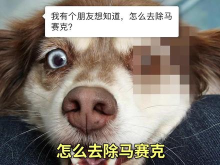 让模糊图片变清晰的神仙工具#发现100个神仙网站 #神仙软件 #软件